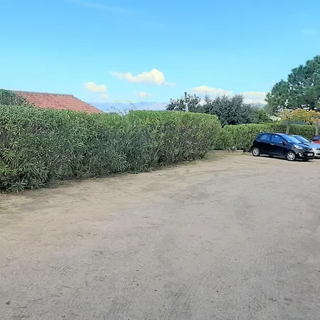 Camelia Plein Soleil Bord De *