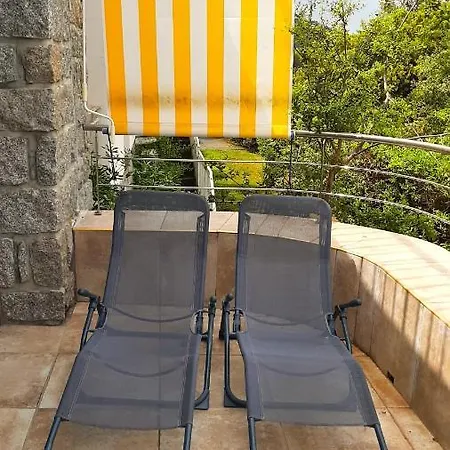 Camélia Plein Soleil Bord De Hébergement de vacances