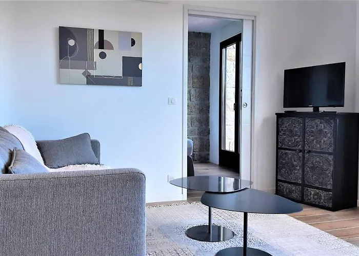 Camelia Plein Soleil Bord De