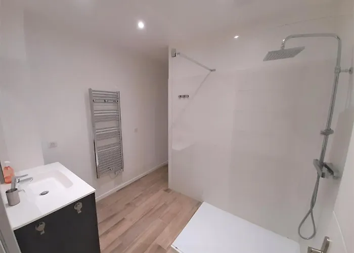 Camelia Plein Soleil Bord De