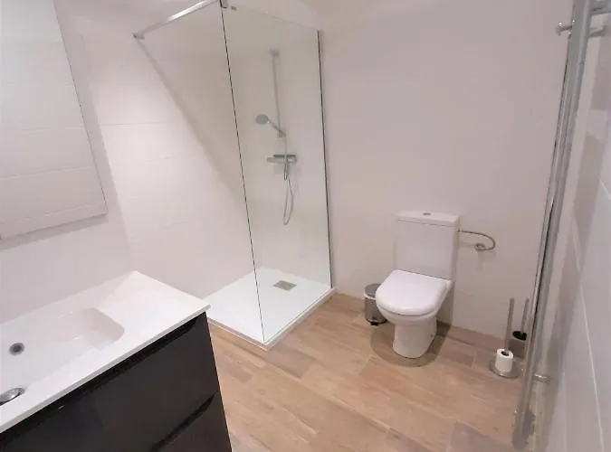 Camelia Plein Soleil Bord De