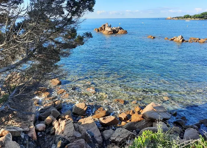 Camelia Plein Soleil Bord De 度假居