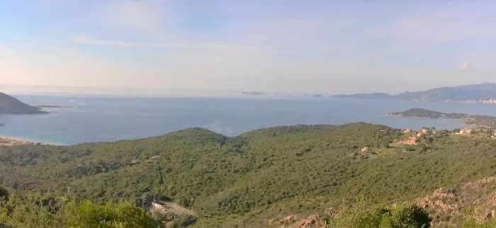 Camelia Plein Soleil Bord De 科蒂基亚瓦里