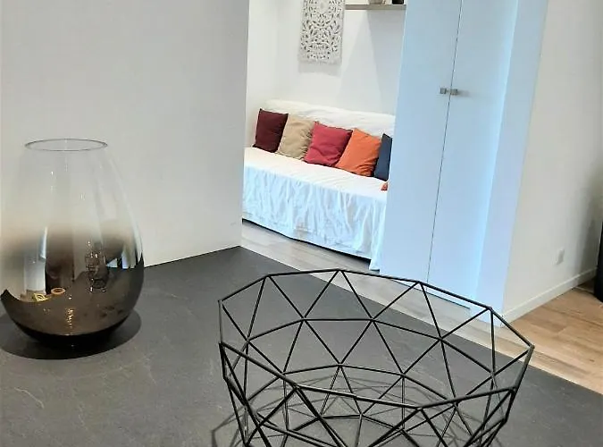 Camelia Plein Soleil Bord De * 科蒂基亚瓦里