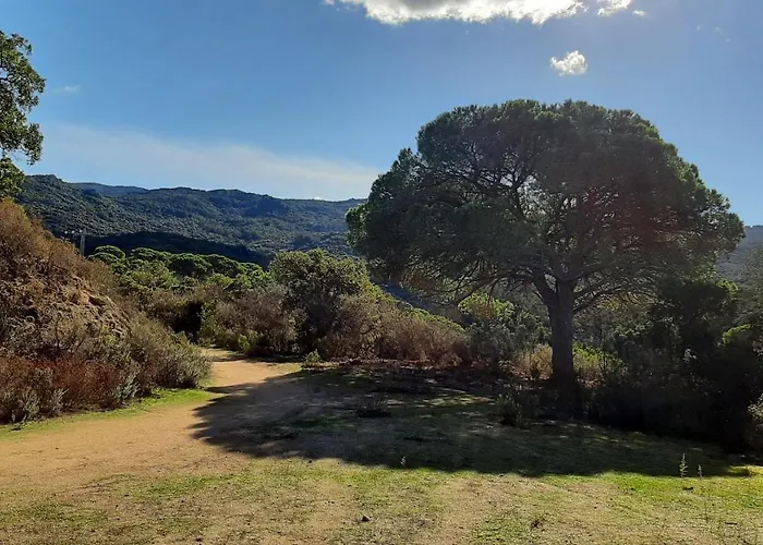 度假居 Camelia Plein Soleil Bord De *