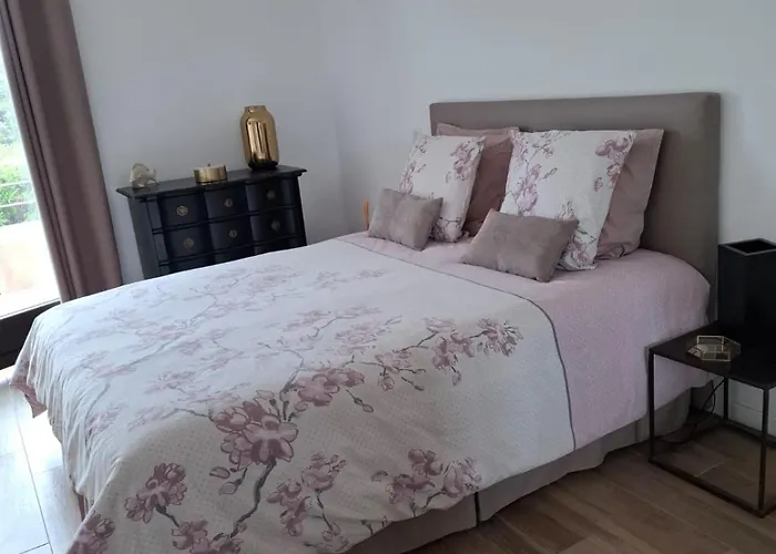 Camelia Plein Soleil Bord De 科蒂基亚瓦里