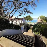 Camelia Plein Soleil Bord De Coti-Chiavari (Corsica)