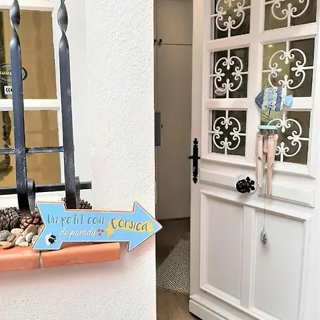 Camelia Plein Soleil Bord De *