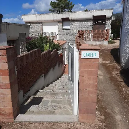 Camelia Plein Soleil Bord De * קוטי-קיאברי