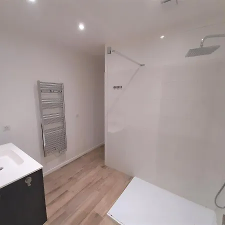 Camelia Plein Soleil Bord De