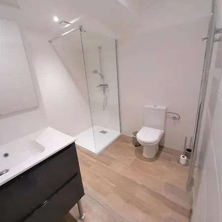 Camelia Plein Soleil Bord De