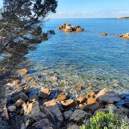 Camelia Plein Soleil Bord De Dom wakacyjny