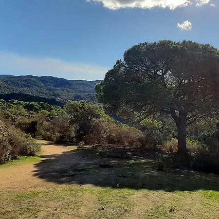 בית נופש Camelia Plein Soleil Bord De *