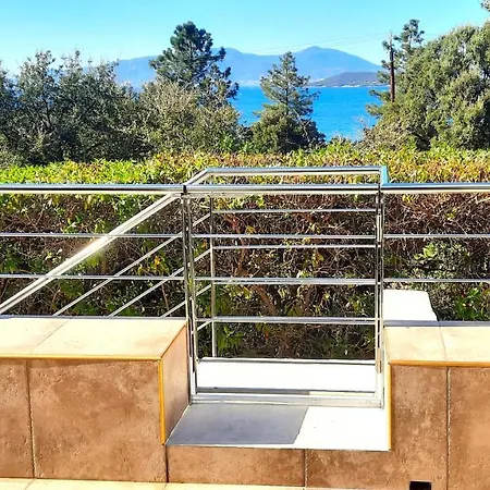 Camelia Plein Soleil Bord De * Coti-Chiavari (Corsica)