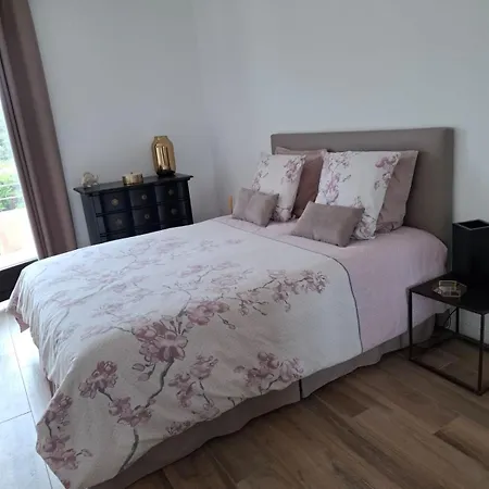 Camelia Plein Soleil Bord De קוטי-קיאברי