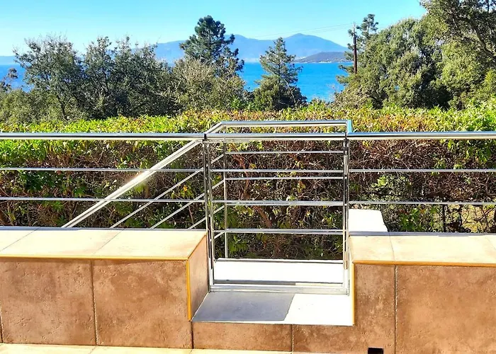 Camélia Plein Soleil Bord De * Coti-Chiavari (Corsica)